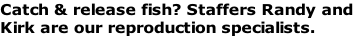 Catch & release fish? Staffers Randy and Kirk are our reproduction specialists.